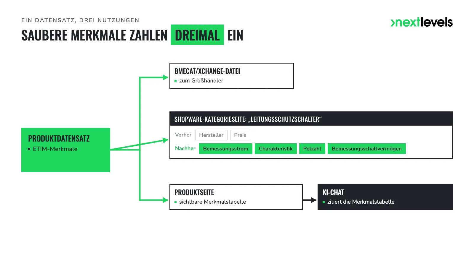 Produktdatensatz speist BMEcat-Export, Shopware-Filter und eine von KI zitierte Produktseite