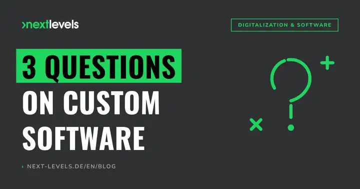 Three fundamental questions on the subject of bespoke software